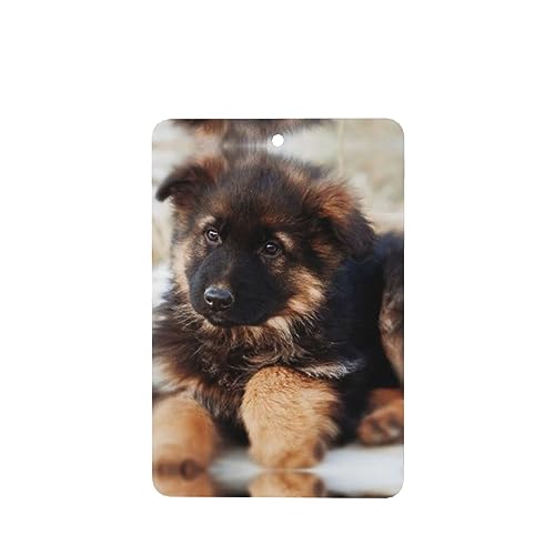 W[}VFp[hps[ ԗpF p[\iCYꂽXCX J[A}Zs[^ubg ݂艺F܃J[h [vt 4 ԂƂ̑p