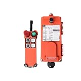 F21-4D Einzelträger-Laufkran, elektrischer Hebekran, industrielle drahtlose Fernbedienung(AC 380V)