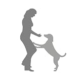 Hundeverhalten zu Artgenossen verstehen: Warum dein Hund auf manche Artgenossen aggressiv reagiert, und was du mit Hundeerziehung dagegen tun kannst