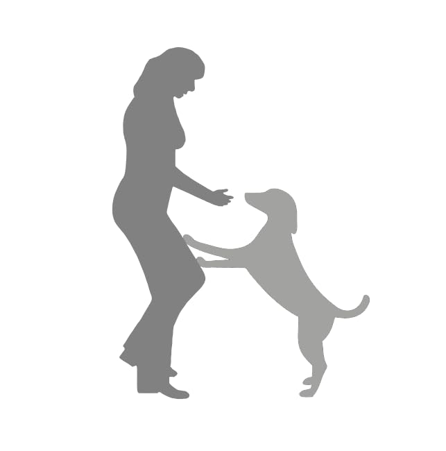 Hundeverhalten zu Artgenossen verstehen: Warum dein Hund auf manche Artgenossen aggressiv reagiert, und was du mit Hundeerziehung dagegen tun kannst