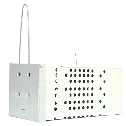 Ratoeira De Gaiola Armadilha Contra Ratos - Alta Pressão Top