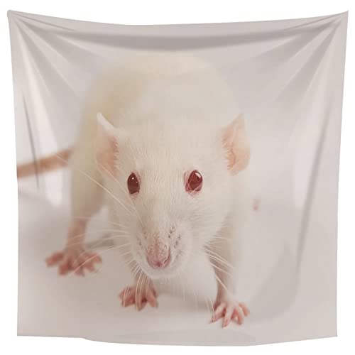 Musihy Wall Tapestry For Bedroom Indie, White Tapestries For Bedroom Aesthetic Polyester Tapestry For Living Room White Mouse 138"X101" #TOP4