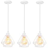 🍏【Spécification Standard de l'UE】Le lustre avec une douille E27, support pour 110-240V, ampoules 60W max. Nous n'incluons pas l'ampoule. Les ampoules LED, incandescentes, halogènes, à économie d'énergie et Edison conviennent.