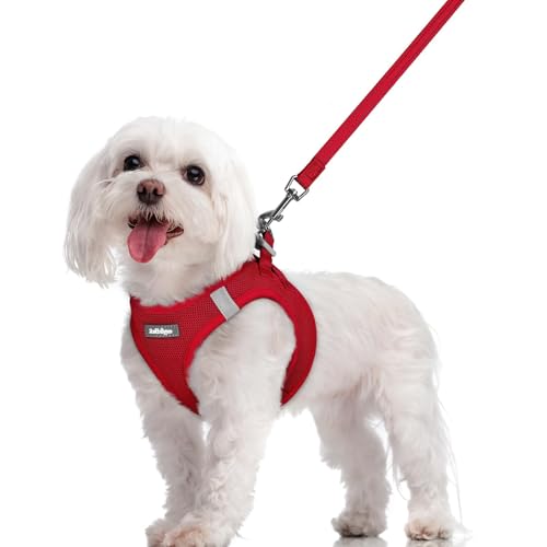 Image of rabbitgoo Dog Harness Medium Sized and Leash Set, Step-in Puppy Pet Vest