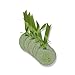 Easter Bunny Tags, Bunny Tags, Easter Bunny, Easter Tags, Bunny Tags, Handmade Tags, Gift Tags, Easter Favor Tags, Set of 8, Green