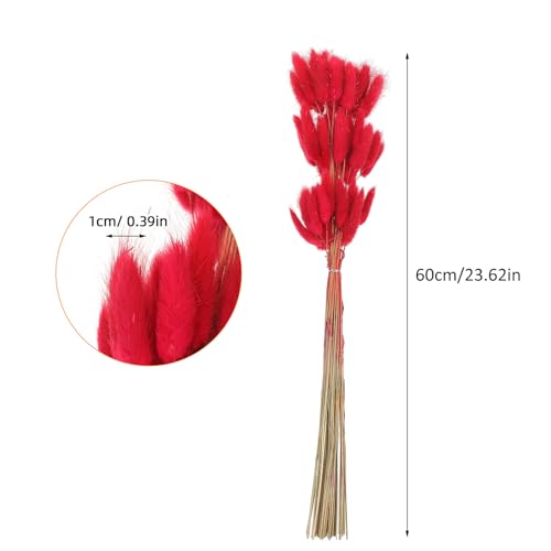 Flores secas Dried Bunny Tail Grass decorativas rojas miniatura 2