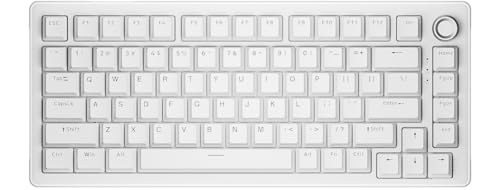 DIERYA DK81E ゲーミングキーボード ガスケットマウント構造｜メカニカルキーボード 有線 ボリュームノブ搭載｜RGBバックライト｜ホットスワップ対応クリームスイッチ｜ゲーミングキーボード 75%カスタム｜英語配列(ホワイト)