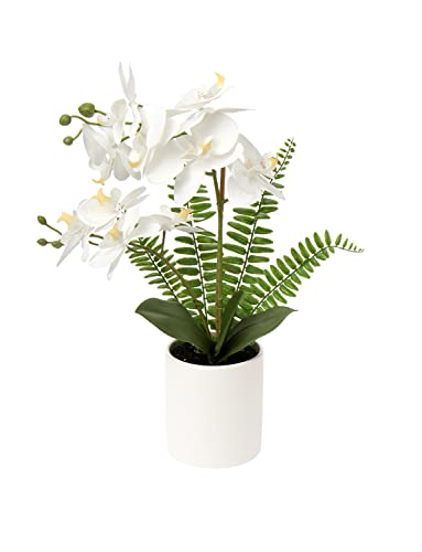 Briful Orchids Artificial Flowers 16" Small Fake Orchid White Phalaenopsis Orchid Flower Arrangements With Ceramic Vase Faux Orchid For Home Bathroom Table Centerpiece Office Wedding Decor #TOP12