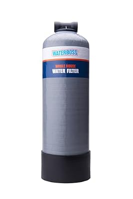 WaterBoss Whole House Water Filter - Whole Home Water Filtration System for Well & City Water - Filters 96.9% of Chlorine Taste & Odor - 6yr, 600,000 Gl, WB-WH-FILTER
