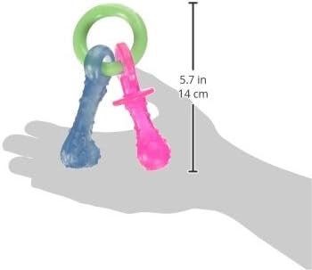 Chew, Savor, Play: Nylabone Puppy Pacifier Review for Happy Teething