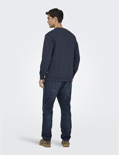 ONLY & SONS Onsceres Crew Neck Noos