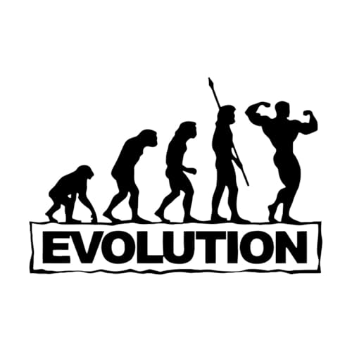 Calcomanía de pared de vinilo extraíble para gimnasio, diseño inspirador de Fitness EVOLUTION, decoración del hogar, arte de pared, calcomanía de pared pequeña, 28x42 cm