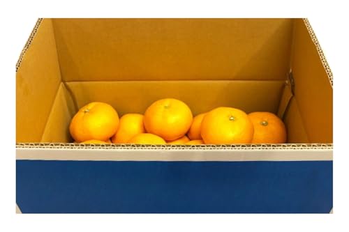 みかん 河津町旬のみかんセット ミカン セット 旬の果物 フルーツ 果実 ニューサマーオレンジ 甘夏 不知火 早生ミカン はるみ ポンカン 河津町 静岡県