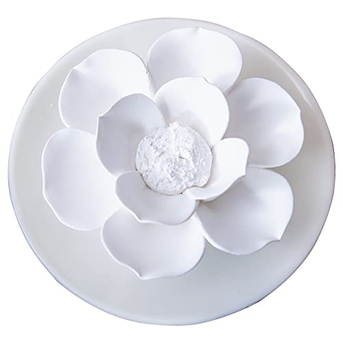 Top 10 Best Lotus Diffuser Doterra Reviews And Buying Guide Glory