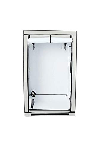 Homebox Ambient Q120