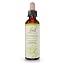 Honeysuckle 20ml