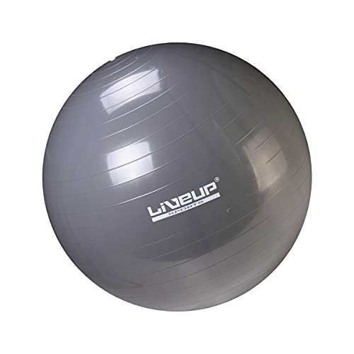 Bola Suiça Premium - 65cm - Cinza, LiveUp Sports