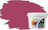 RyFo Colors