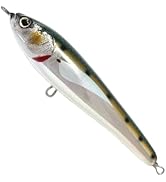 Amazon.co.jp: Jack Fin(ジャックフィン) ダイビングペンシル PELAGUS