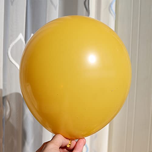 Image of Latex Balloons, 100-Pack Different Sizes 18 12 10 5 Inch Party Balloon Garland Kit (Mustard)