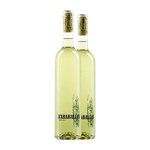 Finca Las Caraballas Verdejo Rueda Botella Magnum 1,5 L Vino blanco (Caja de 2 Botella Magnum de 1,5 L)