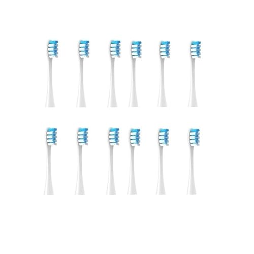12��������p���u���V�w�b�h�BOclean X/X PRO/ Z1/ F1/ One/Air 2 /SE�\�j�b�N�\�t�g�d�����u���V�N���[�j���O�ɑΉ��B(12pcs blue)