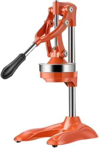 LumingLightnh W[T[ 蓮W[T[  ʏ`i 蓮 t[cڂ  W[Xi XeX ƒp Ɩp (IW)