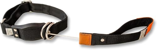 WowWow Professional Hundehalsband mit Leine - schwarz - Größe L 46-66 cm, 205g leicht, innovatives Halsband mit integrierter Leine - bekannt aus der Höhle der Löwen