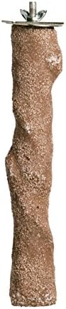 Prevue Pet Products Pacific Perch Beach Branch Large 1012