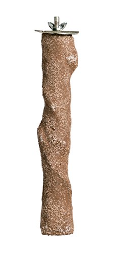 Prevue Pet Products Pacific Perch Branch - Large Natural Wooden Bird Perches for Cage Ideal for Small to Medium Birds Foot Exercise & Beak Grooming Accessories