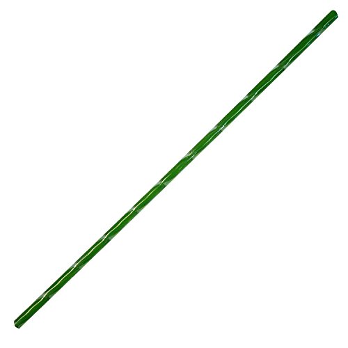 Forest Green & Clear Ribbon Cane - 96 Coe