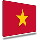 TRIOSK Kühlschrankmagnete Länderflaggen Magnet Flagge Vietnam Länder Reise Souvenir Geschenk für Reiselustige Frauen Männer Weltenbummler Kühlschrank stark eckig groß 85x55 mm