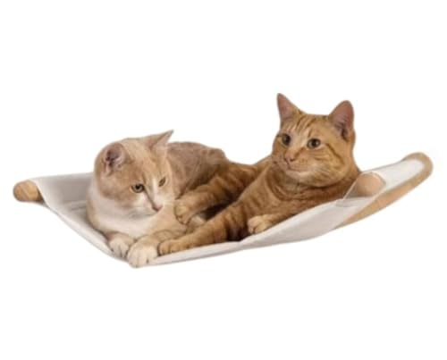 Effonek ؐ̔LpoRp͂AǎtAiATCU[vA؂̔AKiALpႨїpiōĂ܂B (LpnbN)