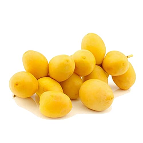 Image of Fresh Dates, Yellow, 250 Grams, Fresh