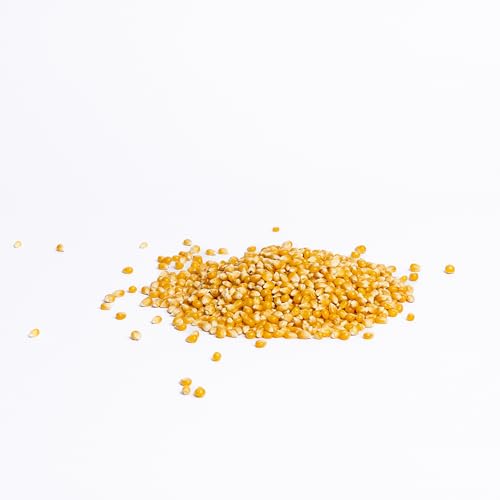 Trend Organic Popping Corn for Popcorn Lovers,1kg – Delicious Snack for School, Work, or Play Nights – High in Fibre, Certified Organic, Vegan, GMO-Free, No Additives No Preservatives, Raw - Image 6