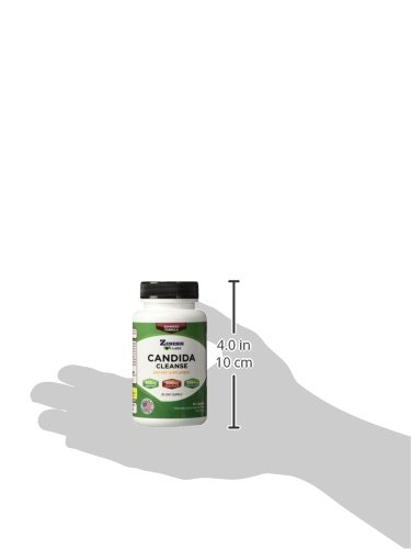 Zenesis Labs Candida Complex Cleanse Detox Caprylic Acid Supplement, Oregano Extract, Probiotics, Enzymes (60 Capsules, 30 Day Supply) #TOP6