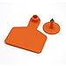 Livestock Identification Blank Ear Tags for Goats Sheep Cattle Cows Pigs 100 Packs TPU Precision Ear Tags (Cattle, Orange)