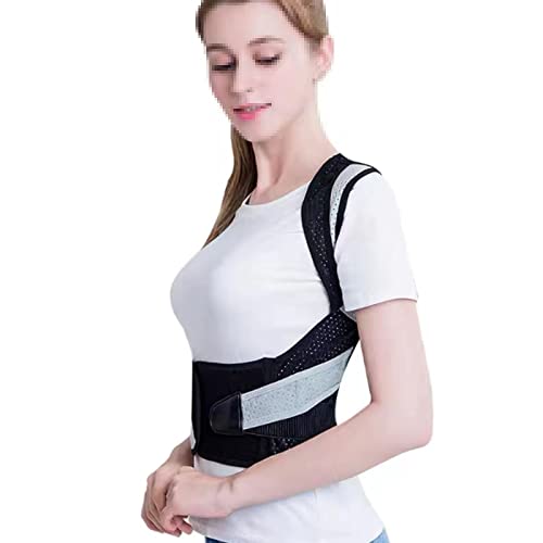 wpobNT|[gxgV_[obNwpUgENWohRN^[ɂ݂ywRȈʒuɑ邱ƂłԂP܂ Beauty Comes