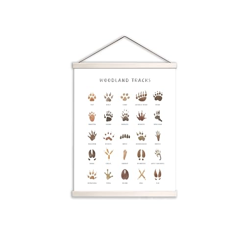 Image of Woodland Animal Tracks Hanging Poster, Woodland Nursery Decor 16x20 Inch, Animal Tracks Canvas Artwork, Forest Nursery Decor, Boy Nursery Wall Decor For Kids