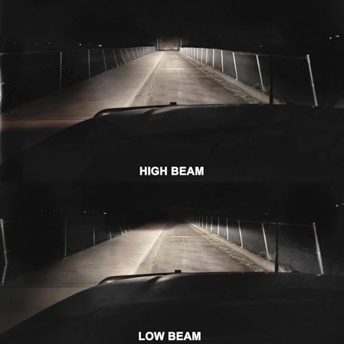 image for VEXONEYE H1 Halogen Headlight/Fog light Bulb, H1 12V 55W 4300K High/Lo