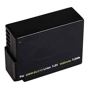 PREMIUM Ersatzakku für die Panasonic Lumix FZ1000 FZ300 FZ200 GX8 G6 G5 — Akku für Panasonic BLC12 mit Info-Chip (starke 1000mAh) inkl. PATONA Displaypad