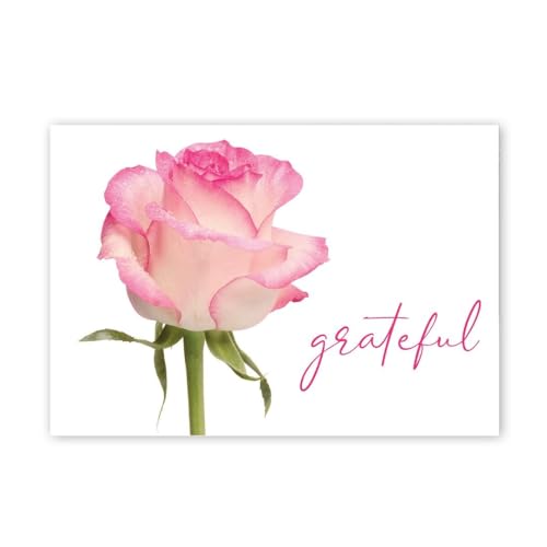 Image of Great Papers! Grateful Pink Rose Thank You Note Card and Envelope, 4.875 inch x 3.375 inch, 24 count (2025029)