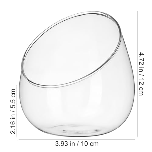 Image of DOITOOL Clear Slant Cut Bowl Glass Vase, Glass Terrarium Candy Dish Fish Bowl Vase Fruit Jar Air Plant Holder for Succulents, Cacti, Moss, Terrariums, Flower Centerpiece, Height: 4.7 inch, Base: 4 inch