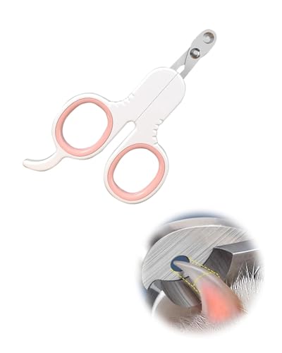 KGDUYC 1 pezzo forbici artiglio gatto bianco, forbici artiglio cane, design smussato, forbici artiglio gatto, forbici unghie gatto, adatto per i principianti, facile da usare, sicuro e affidabile