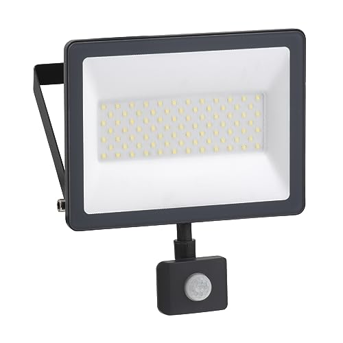 Projecteur LED Schneider Electric Mureva Light pour éclairer votre jardin et sécuriser l'entrée