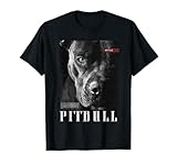 RTUZ / Perro Pitbull Terrier