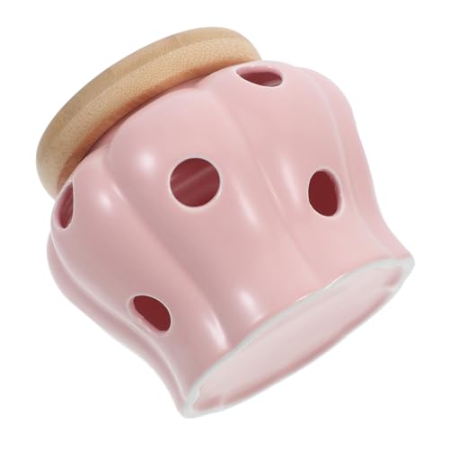 Mikinona Garlic Storage Jar Onion Keeper Ceramic Canister Heatproof Freshness Keeper