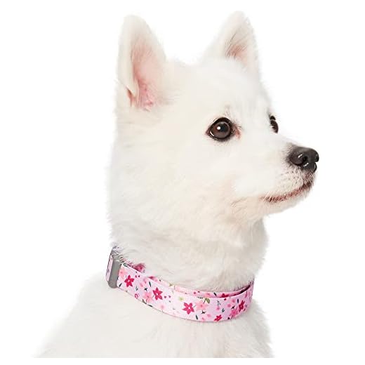 ACollar para Perros con Estampado de Flores S, Cuello 30-40 cm, Collares Ajustables para Perros (Rosa)