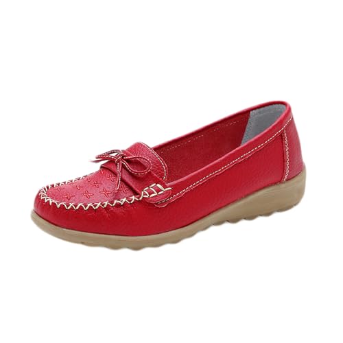 [uEP] JV [t@[  tbgV[Y ɂ ~ hCrOV[Y y 24.5cm Xb|  bh ₷ fB[X C EhgD  _炩 ₷  JWA 풅p 