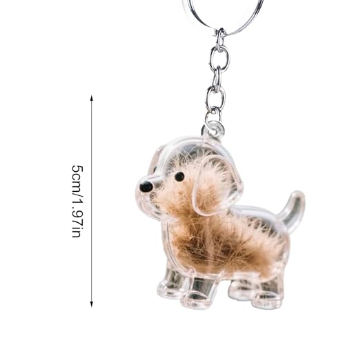 Generisch Süßer Schlüsselanhänger | Hundehaarsammler Auto-Schlüsselanhänger,Transparentes Anhänger Andenken Für Tierhaare, Wohndekoration Rückspiegel Zubehör